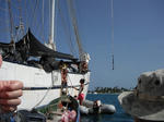 DSCF3846.jpg