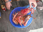 DSCF3861.jpg