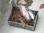 DSCF3875.jpg