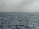 DSCF3884.jpg