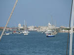 DSCF3907.jpg