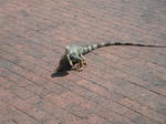 DSCF3938.jpg