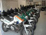 DSCF4015.jpg