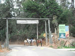 DSCF4105.jpg