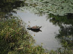 DSCF4304.jpg