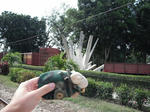 DSCF4761.jpg