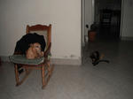 DSCF4896.jpg