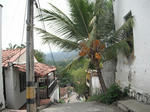 DSCF4921.jpg