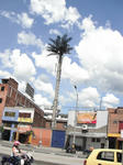 DSCF4954.jpg