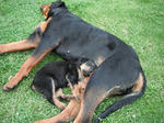 DSCF4980.jpg