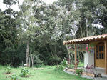 DSCF4984.jpg