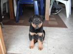 DSCF5028.jpg