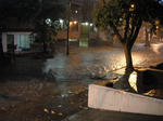 DSCF5106.jpg