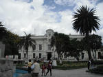 DSCF5237.jpg