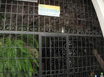 DSCF5252.jpg