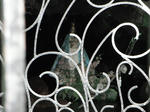 DSCF5254.jpg