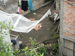 DSCF5260.jpg