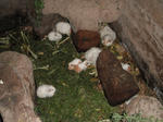 DSCF5312.jpg