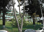 DSCF5339.jpg