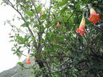 DSCF5392.jpg