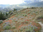 DSCF5434.jpg