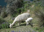 DSCF5463.jpg