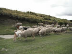 DSCF5479.jpg
