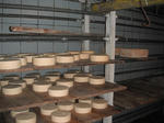 DSCF5481.jpg
