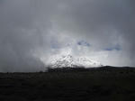 DSCF5495.jpg