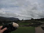 DSCF5546.jpg