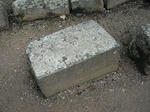 DSCF5551.jpg