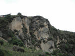 DSCF5577.jpg
