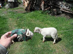 DSCF5683.jpg