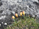 DSCF5707.jpg