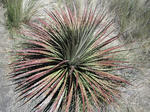 DSCF5725.jpg