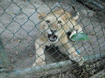 DSCF5860.jpg