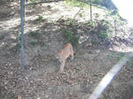 DSCF5888.jpg