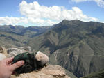DSCF5995.jpg