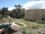 DSCF6019.jpg