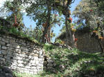 DSCF6002.jpg