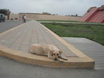 DSCF6023.jpg