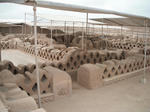 DSCF6050.jpg