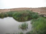 DSCF6058.jpg