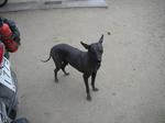 DSCF6079.jpg