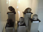 DSCF6343.jpg