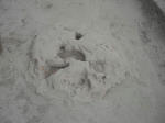 DSCF6421.jpg