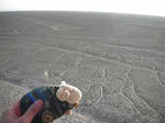 DSCF6438.jpg