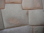 DSCF6544.jpg