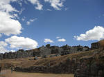 DSCF6557.jpg