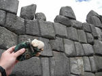 DSCF6564.jpg